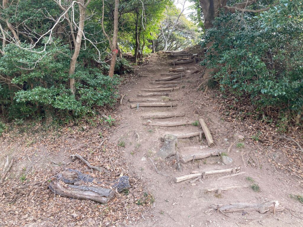 城山直前の階段