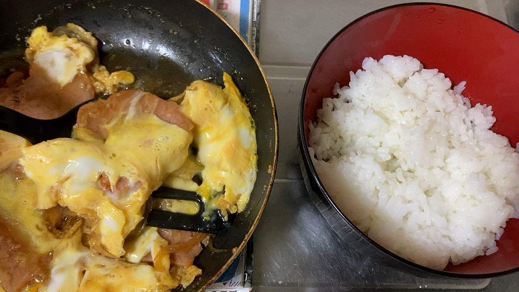 ご飯に移す