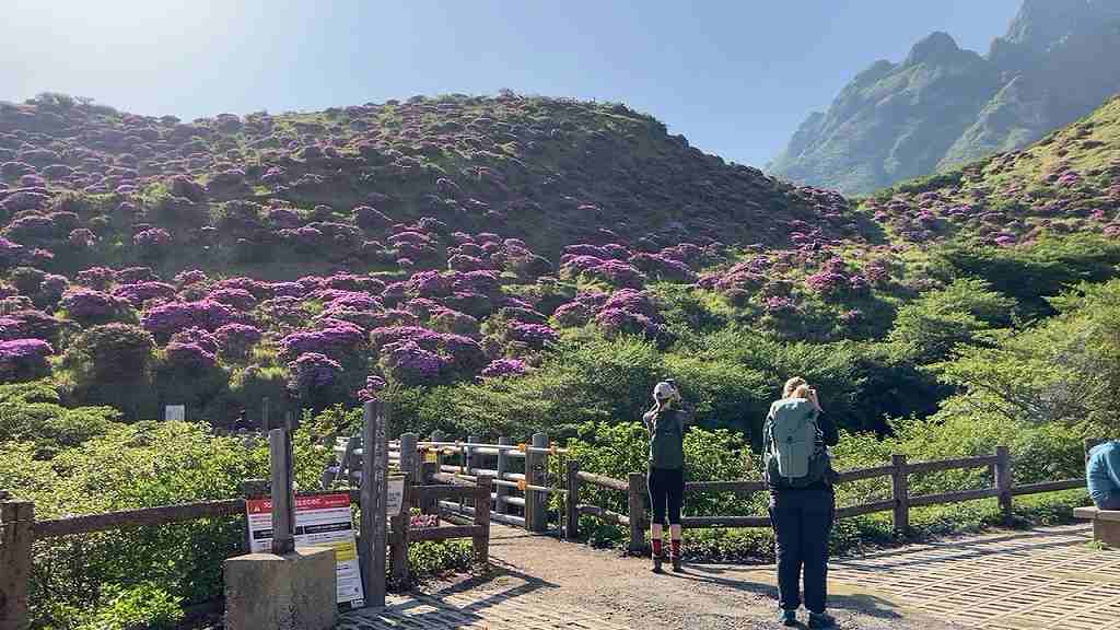登り口