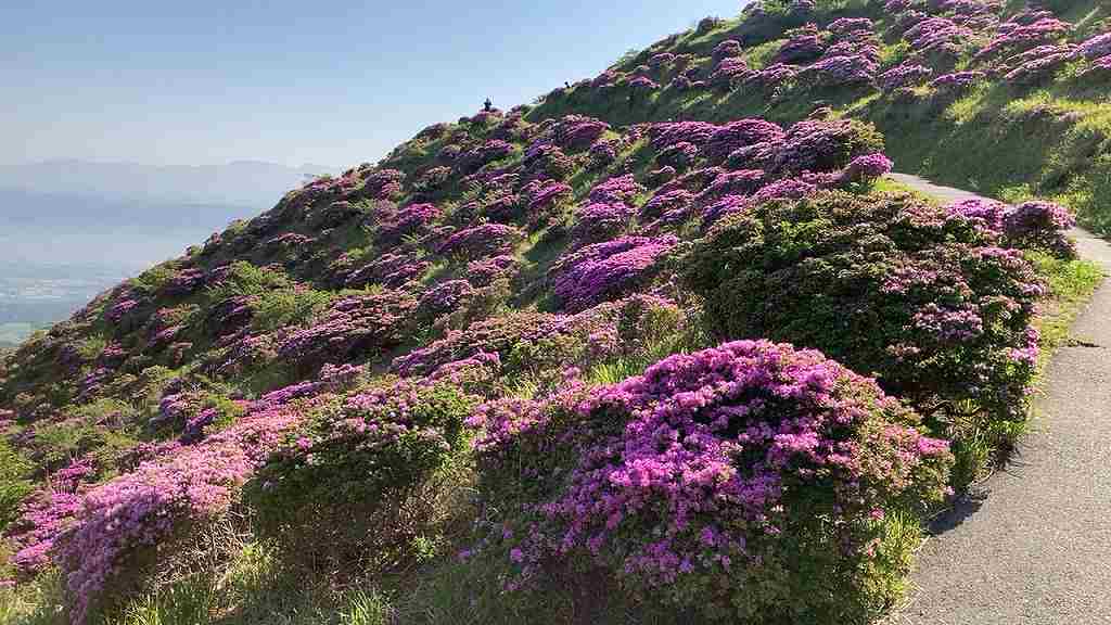 仙酔峡7