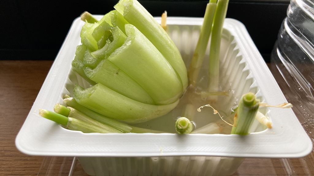 再生工場へ