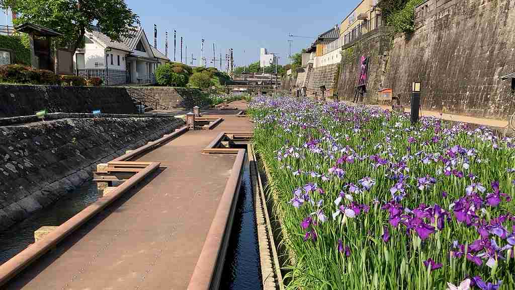 花しょうぶ12