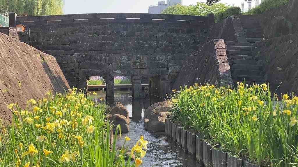 花しょうぶ17