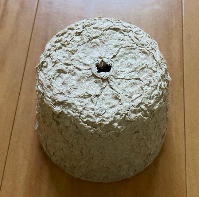 そこに穴
