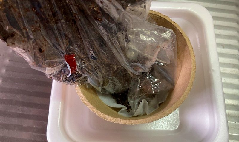 土を入れる