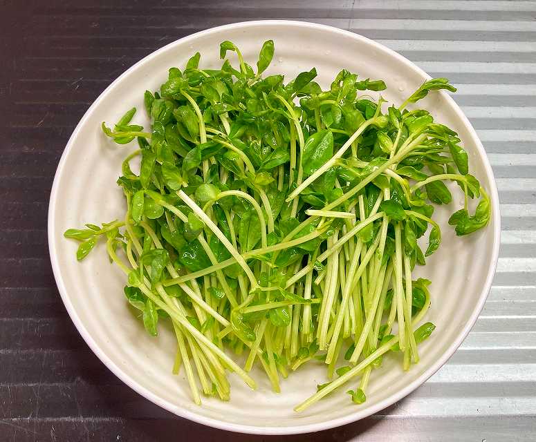 豆苗を耐熱皿に