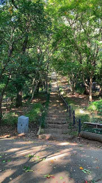 展望所への階段