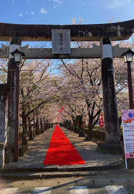 菊池神社1