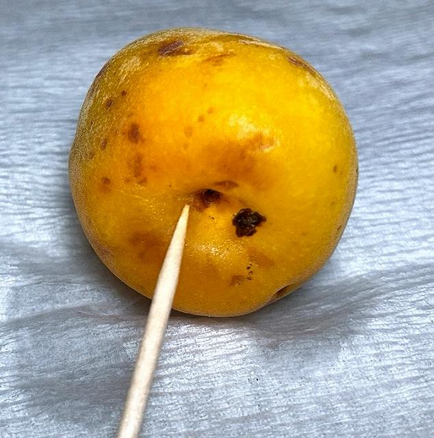 ヘタを取る