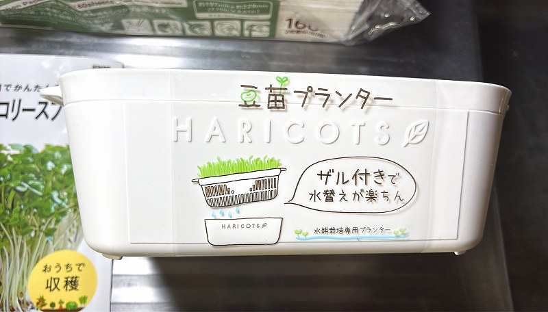 豆苗プランター2