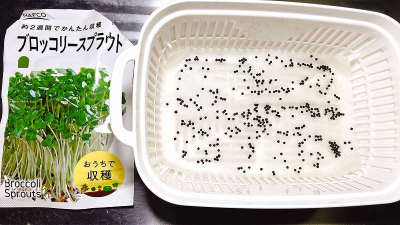 ２回目の１