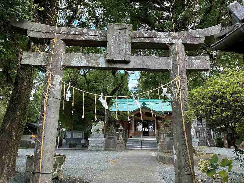 山頂に到着